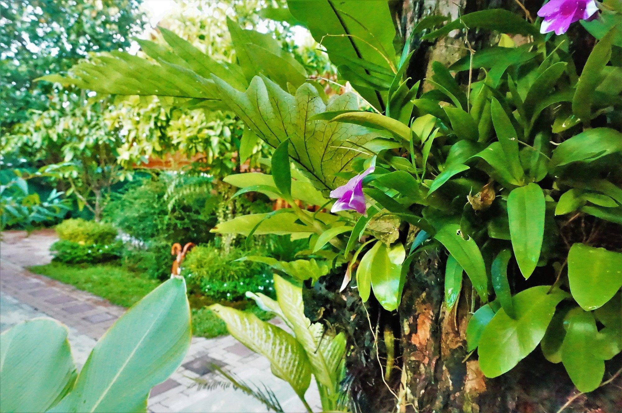 Ruen Tai Boutique Villa Phuket Exterior photo